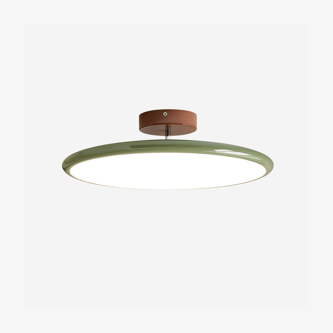 Sway Adjustable Ceiling Light