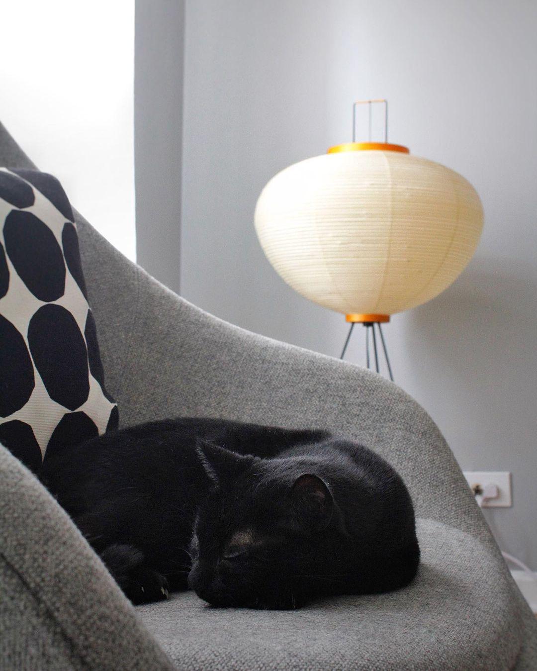 Mulberry Lantern Floor Lamp