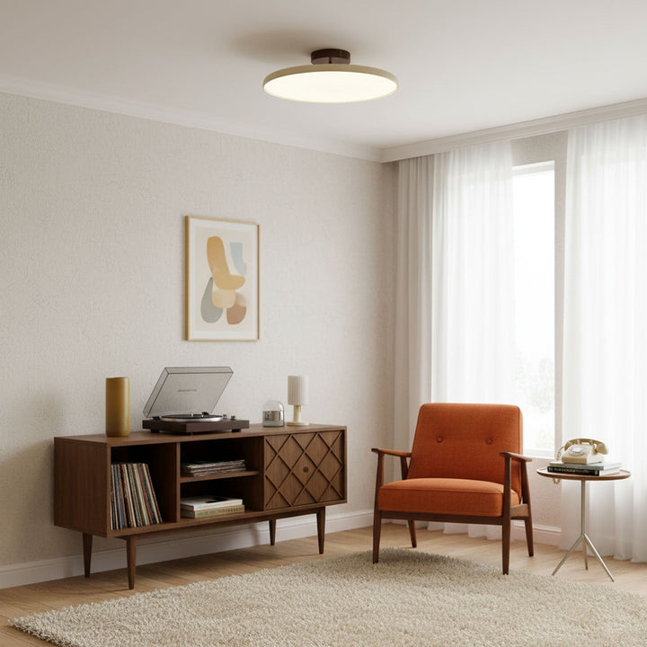 Sway Adjustable Ceiling Light