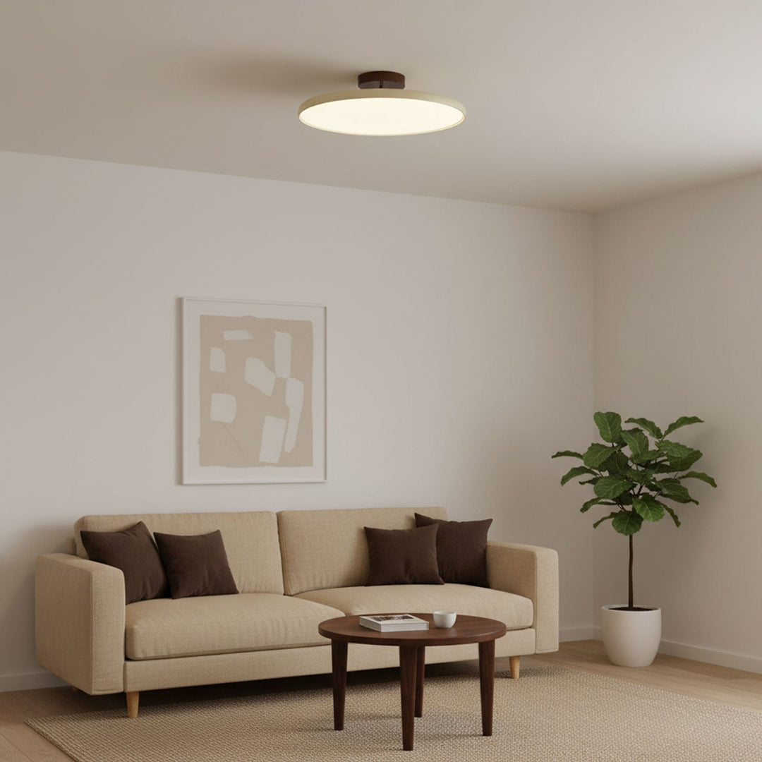 Sway Adjustable Ceiling Light