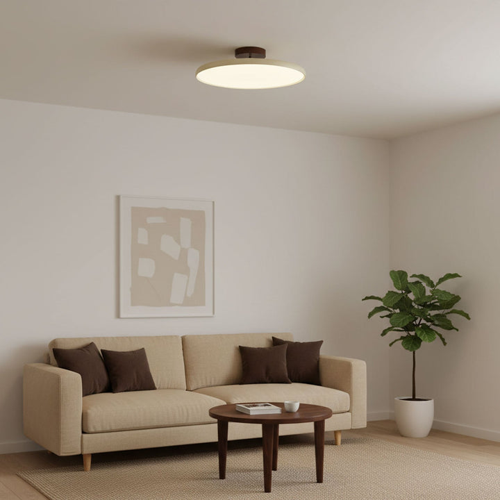 Sway Adjustable Ceiling Light