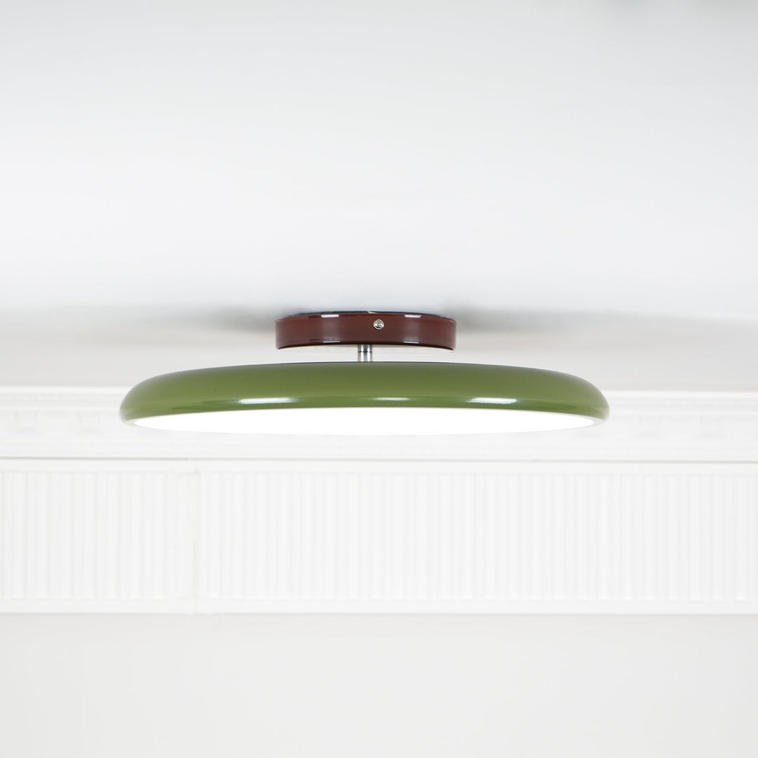 Sway Adjustable Ceiling Light