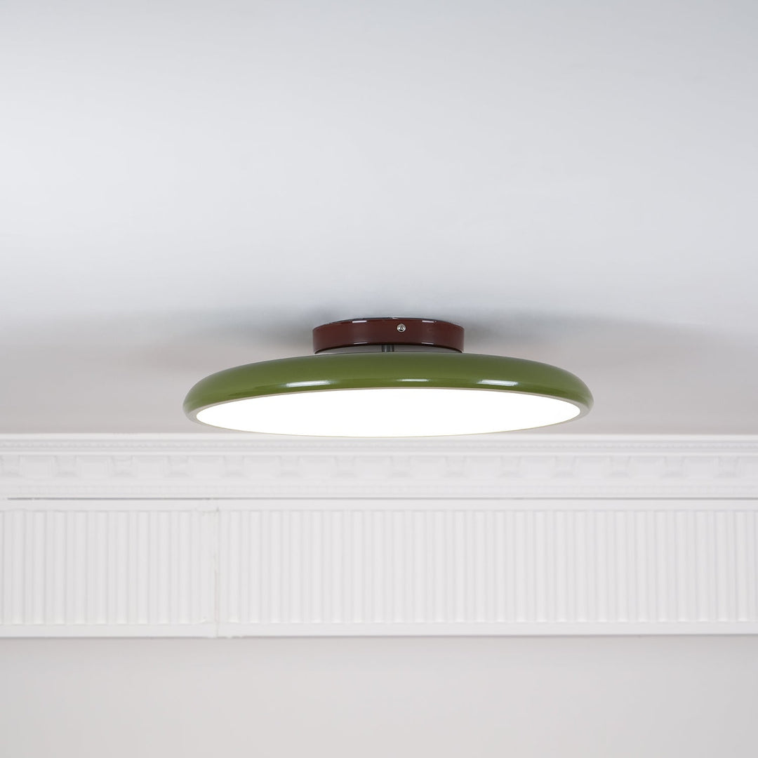 Sway Adjustable Ceiling Light