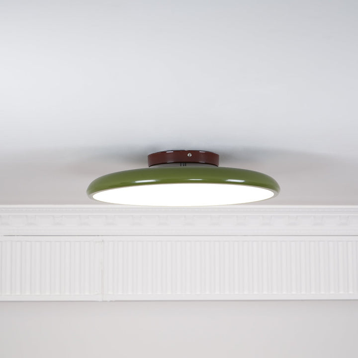 Sway Adjustable Ceiling Light