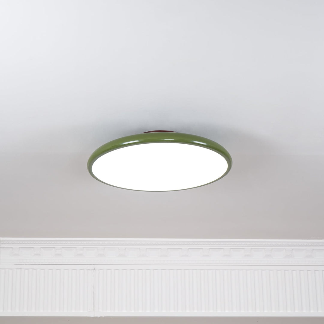 Sway Adjustable Ceiling Light