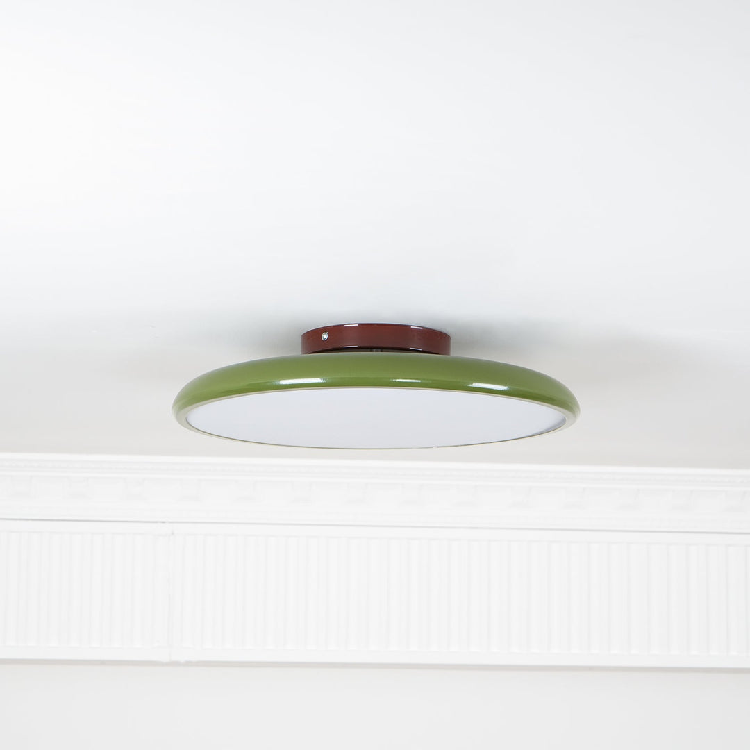 Sway Adjustable Ceiling Light