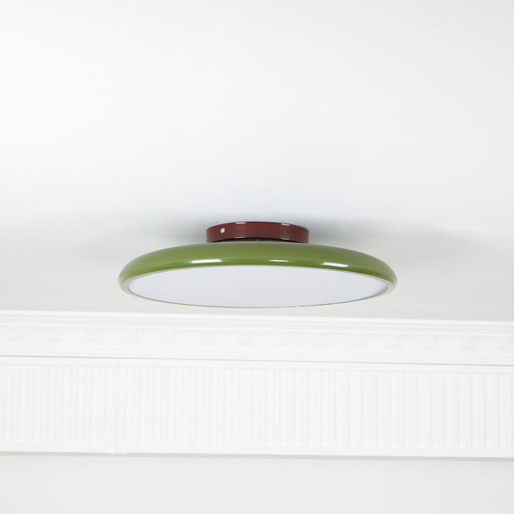 Sway Adjustable Ceiling Light