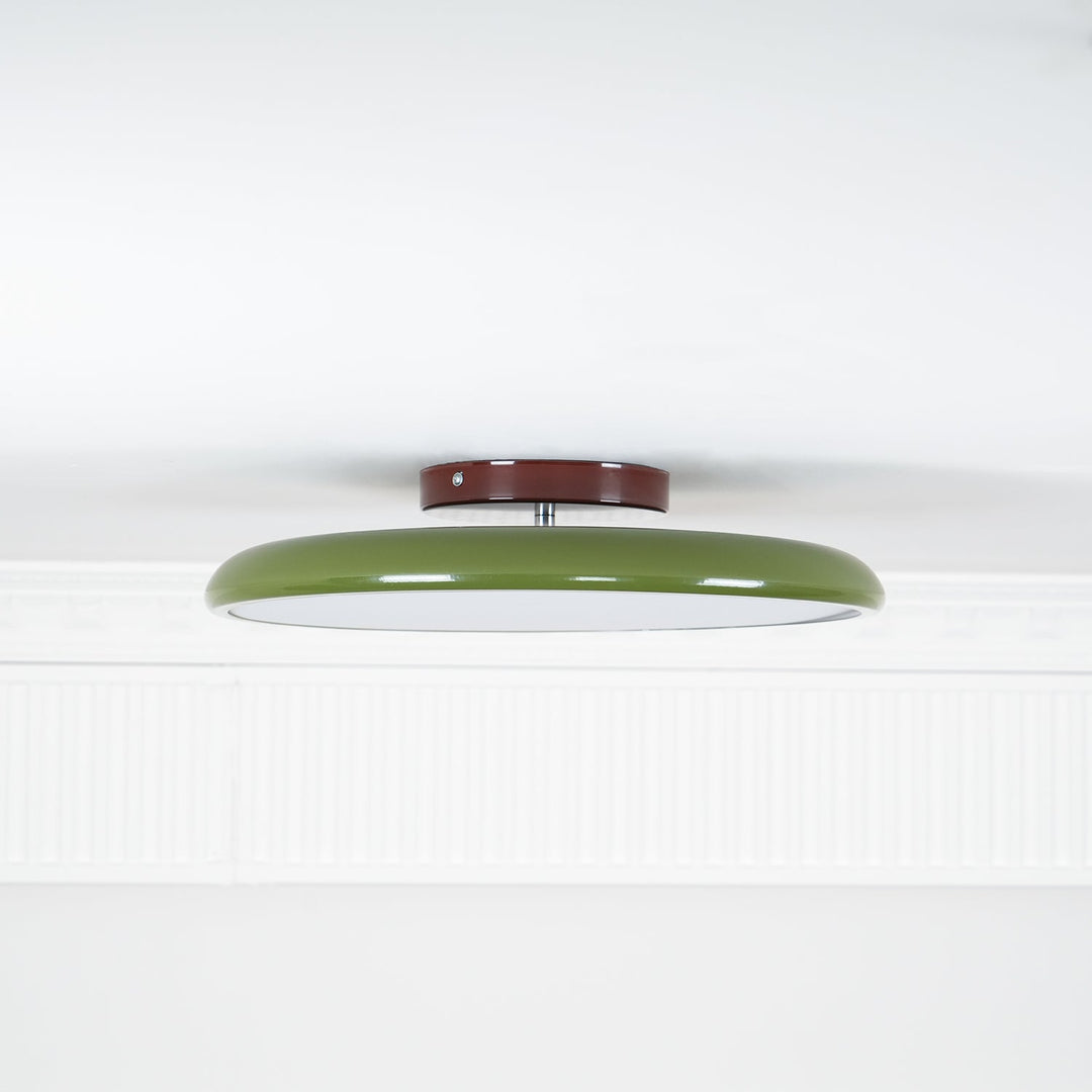 Sway Adjustable Ceiling Light