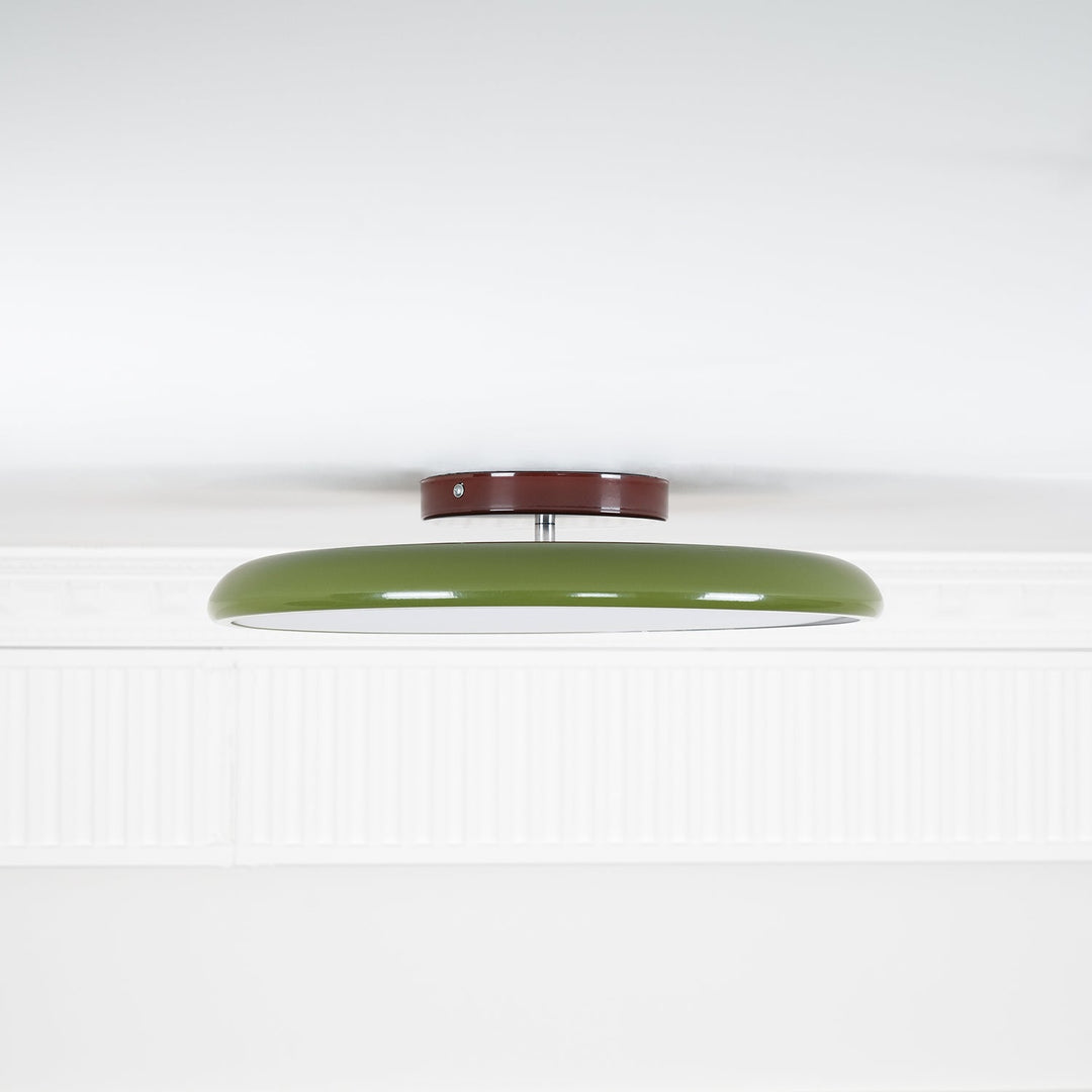 Sway Adjustable Ceiling Light