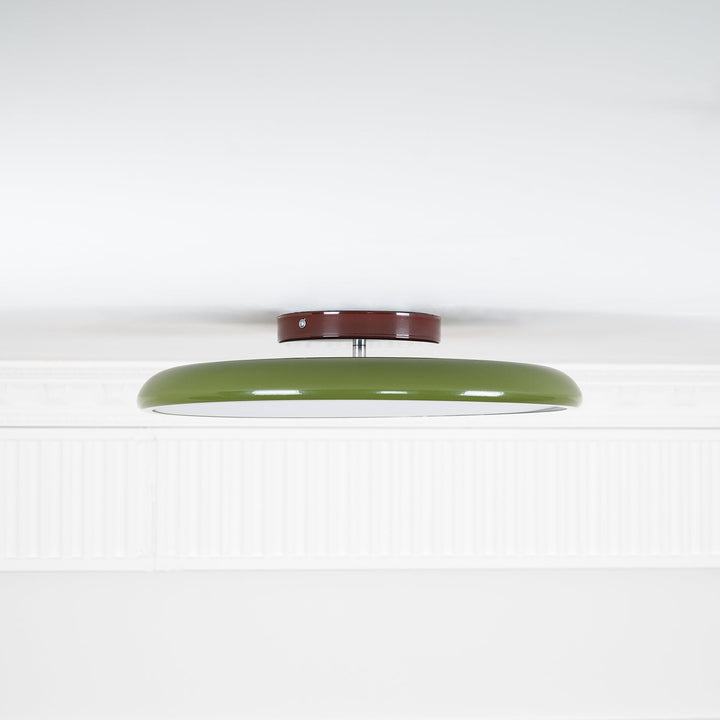 Sway Adjustable Ceiling Light