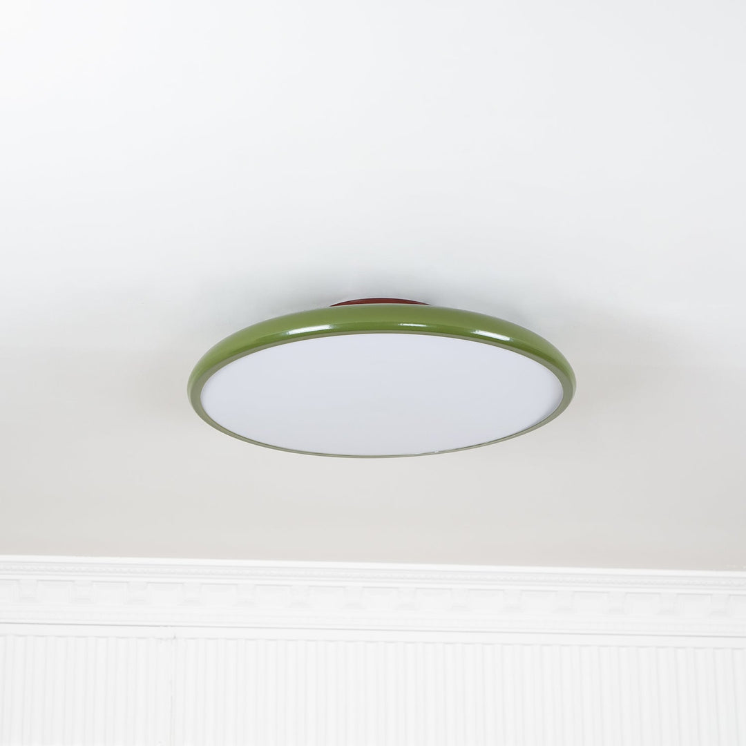 Sway Adjustable Ceiling Light