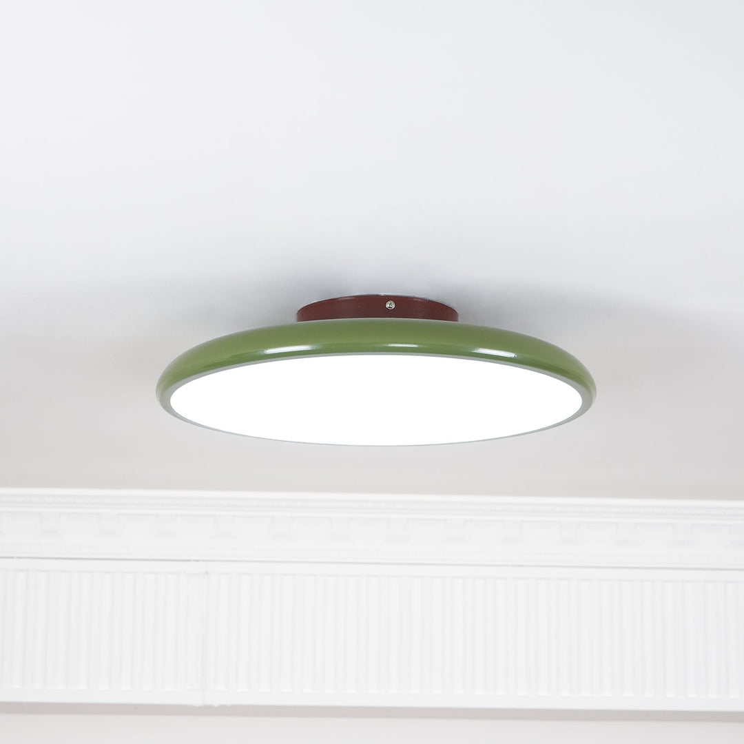 Sway Adjustable Ceiling Light