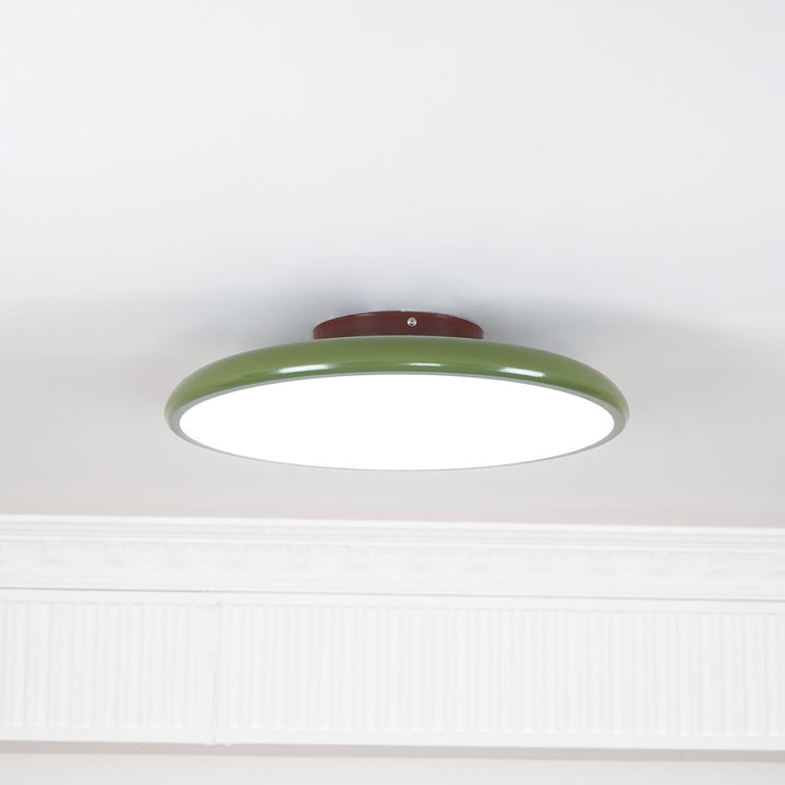 Sway Adjustable Ceiling Light
