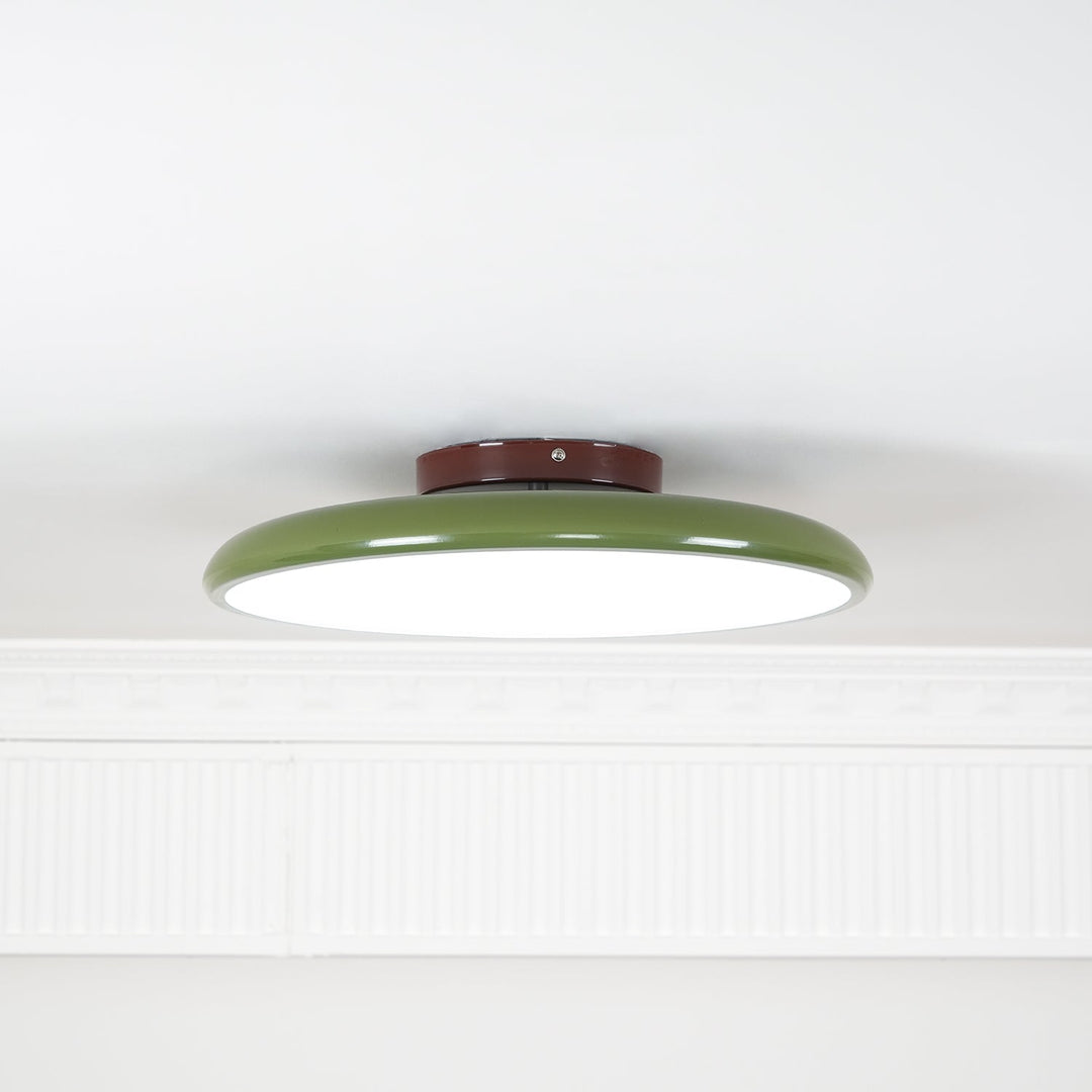 Sway Adjustable Ceiling Light