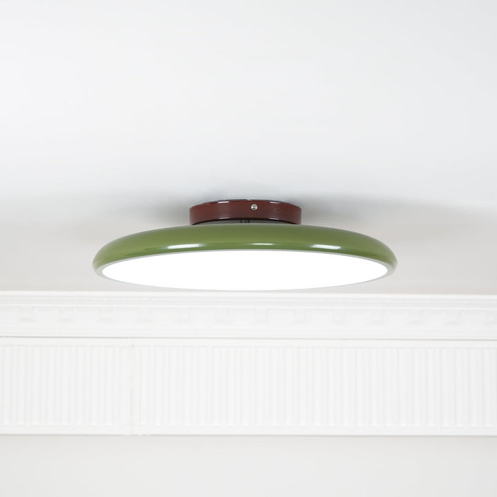 Sway Adjustable Ceiling Light