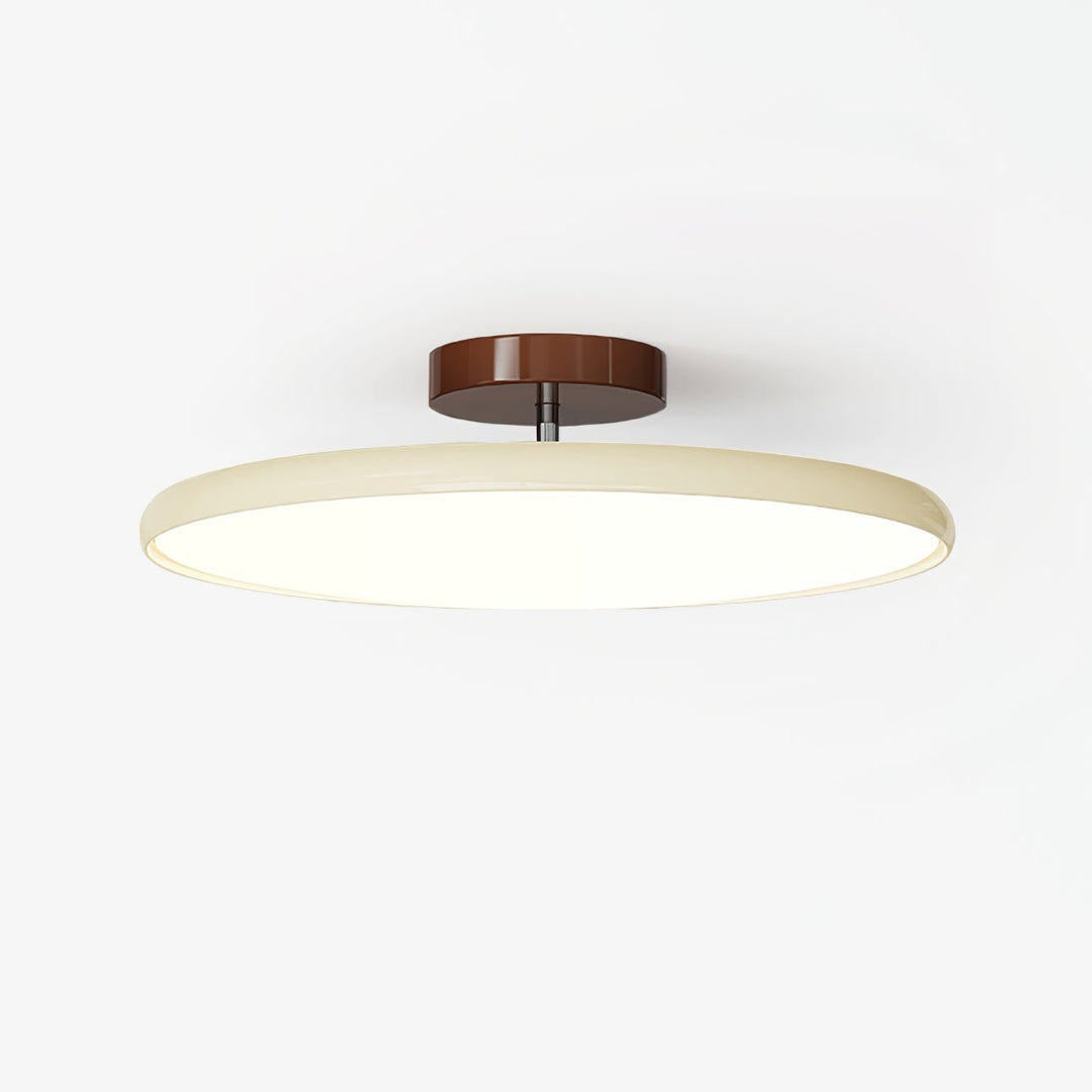 Sway Adjustable Ceiling Light