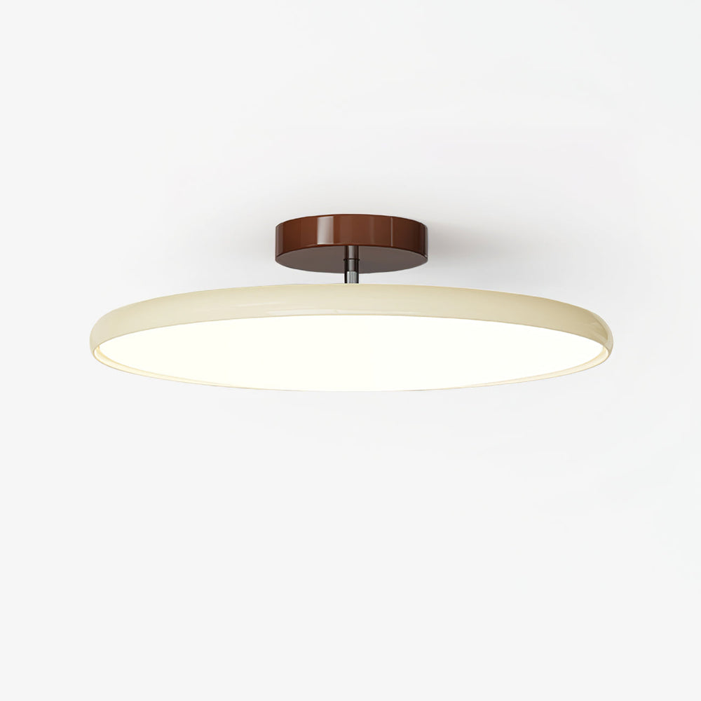 Sway Adjustable Ceiling Light