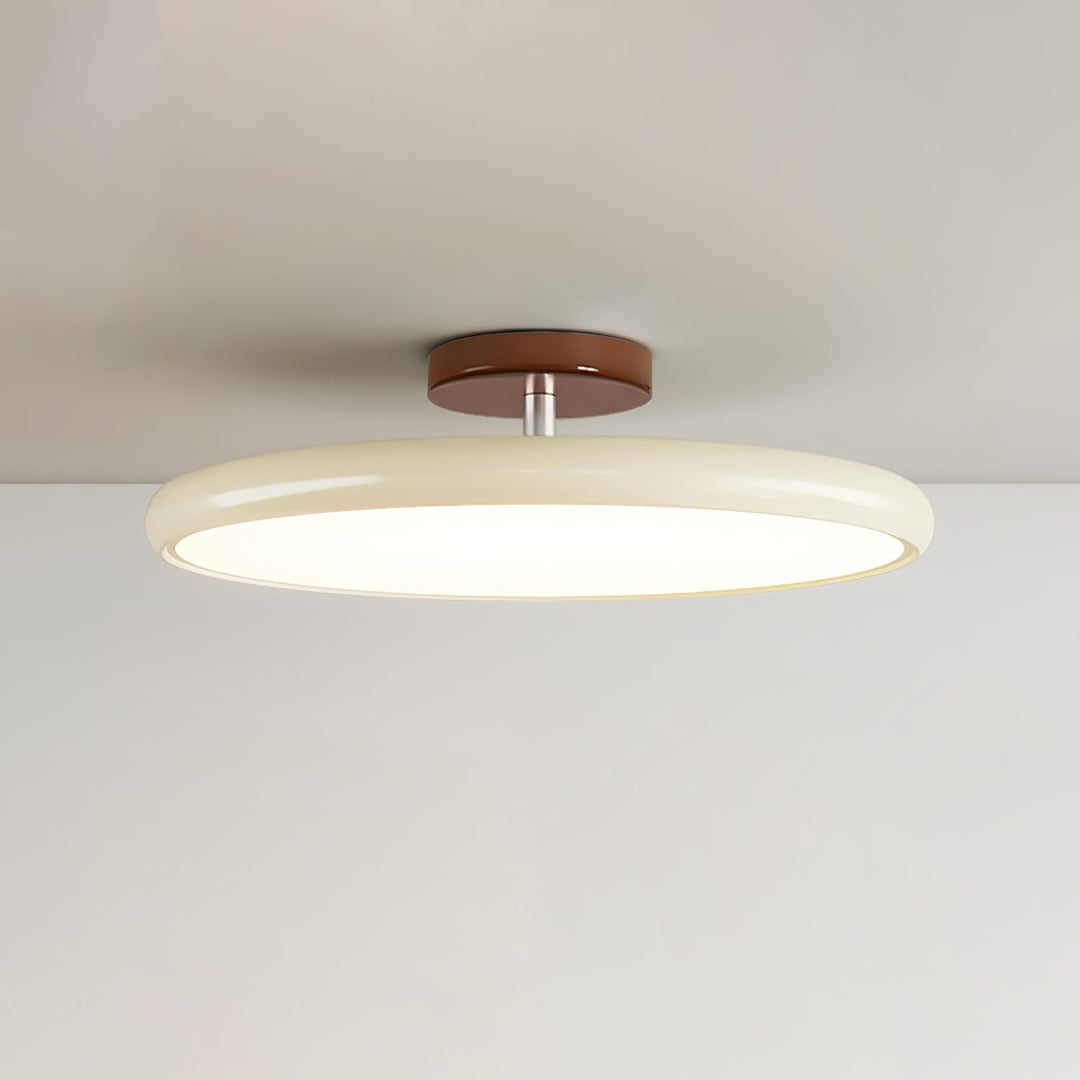Sway Adjustable Ceiling Light
