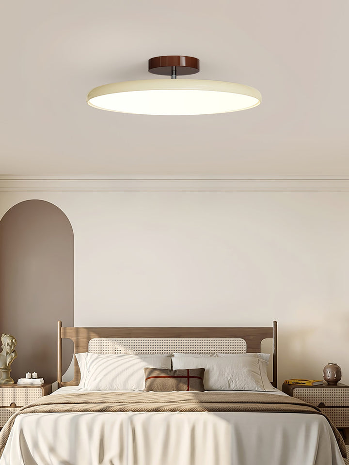 Sway Adjustable Ceiling Light