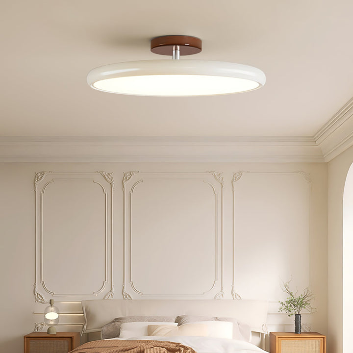 Sway Adjustable Ceiling Light