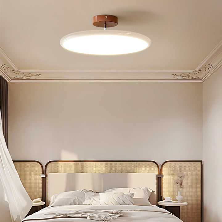 Sway Adjustable Ceiling Light