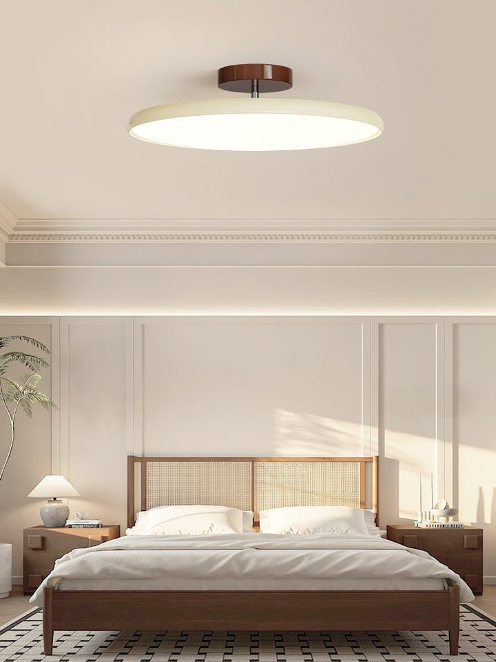 Sway Adjustable Ceiling Light