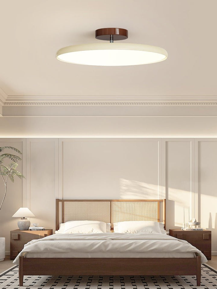 Sway Adjustable Ceiling Light