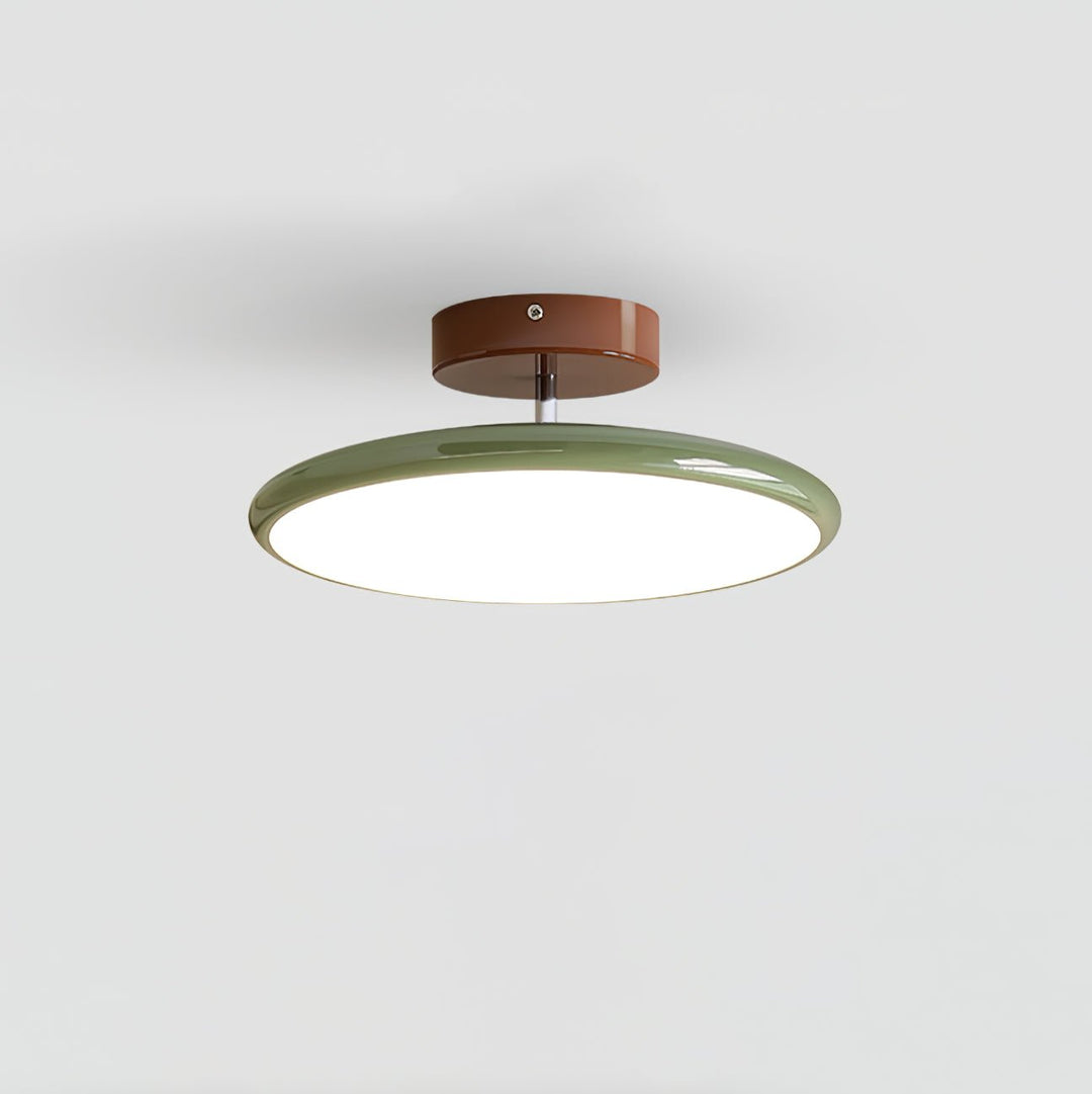 Sway Adjustable Ceiling Light
