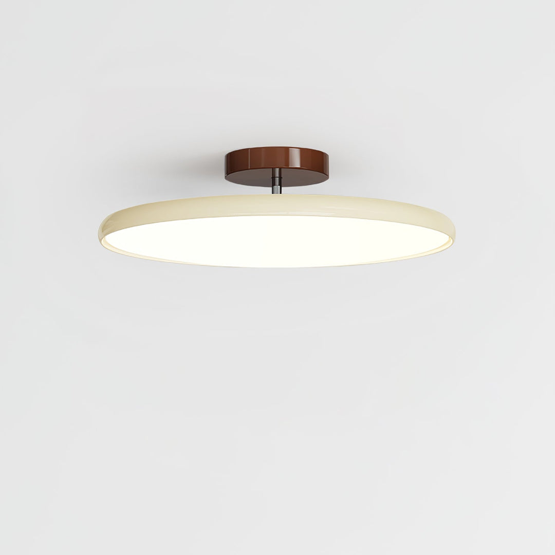 Sway Adjustable Ceiling Light