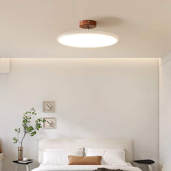 Sway Adjustable Ceiling Light