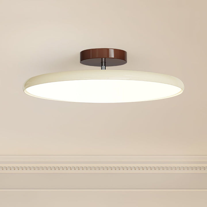 Sway Adjustable Ceiling Light