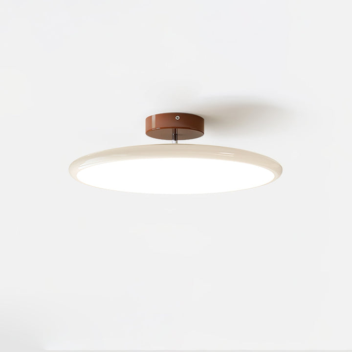 Sway Adjustable Ceiling Light