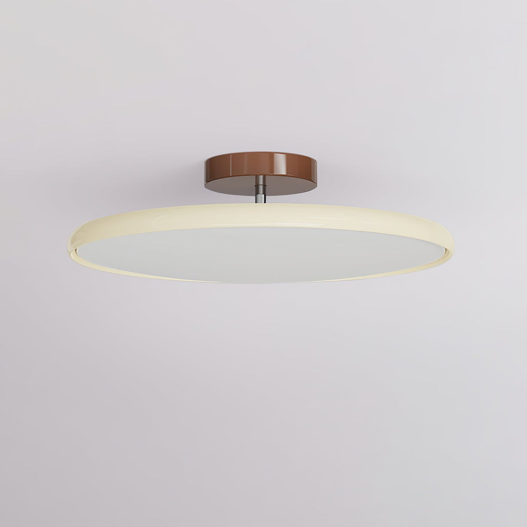 Sway Adjustable Ceiling Light