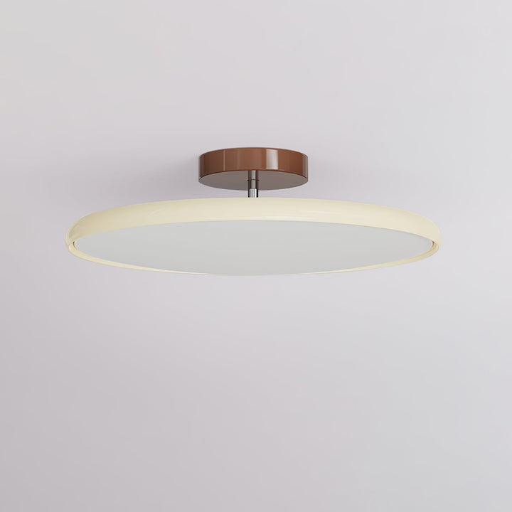 Sway Adjustable Ceiling Light