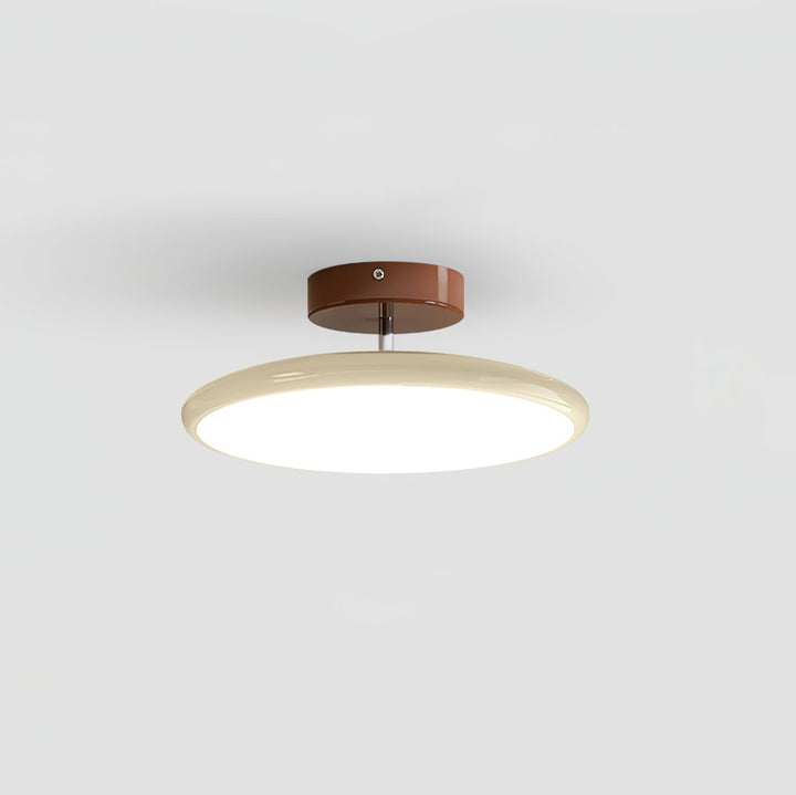 Sway Adjustable Ceiling Light
