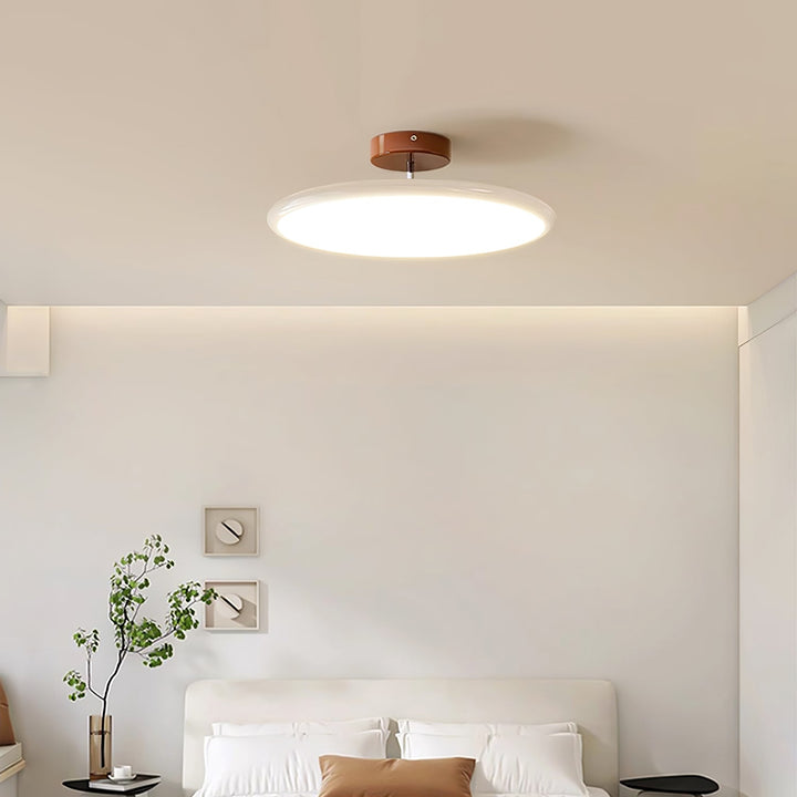 Sway Adjustable Ceiling Light