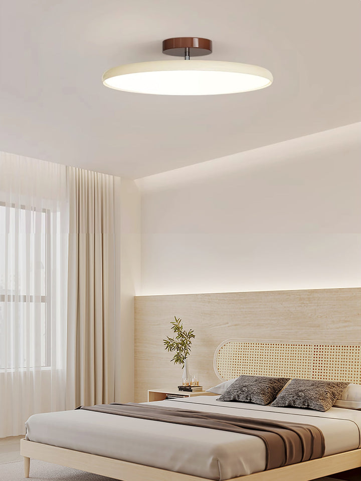 Sway Adjustable Ceiling Light
