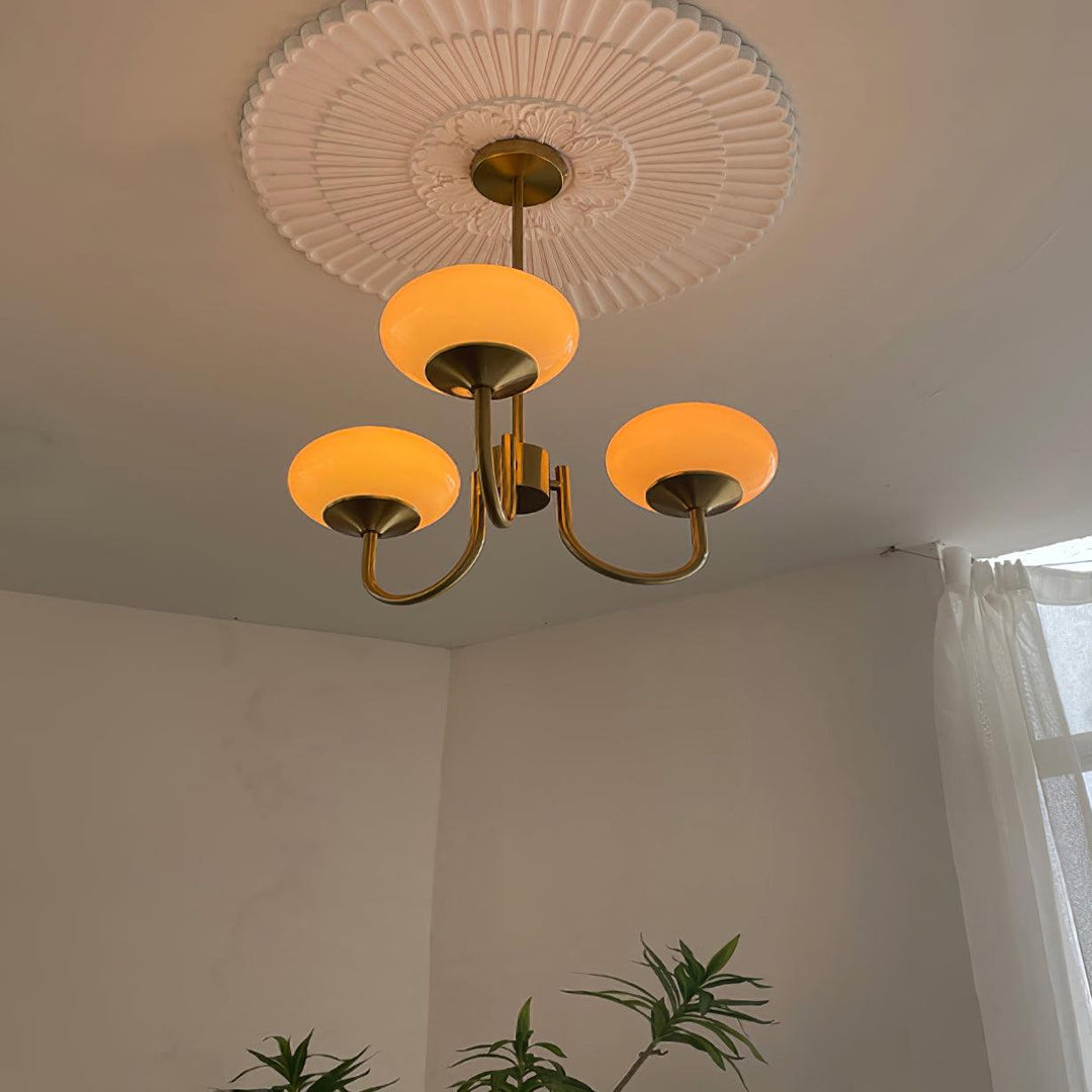 Blush Globe Chandelier