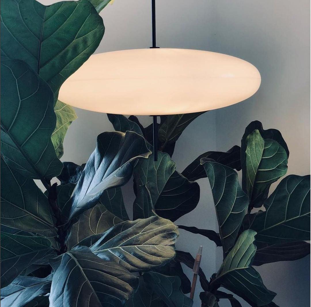 Drift Disc Pendant Light