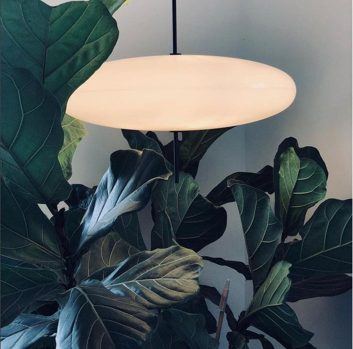 Drift Disc Pendant Light