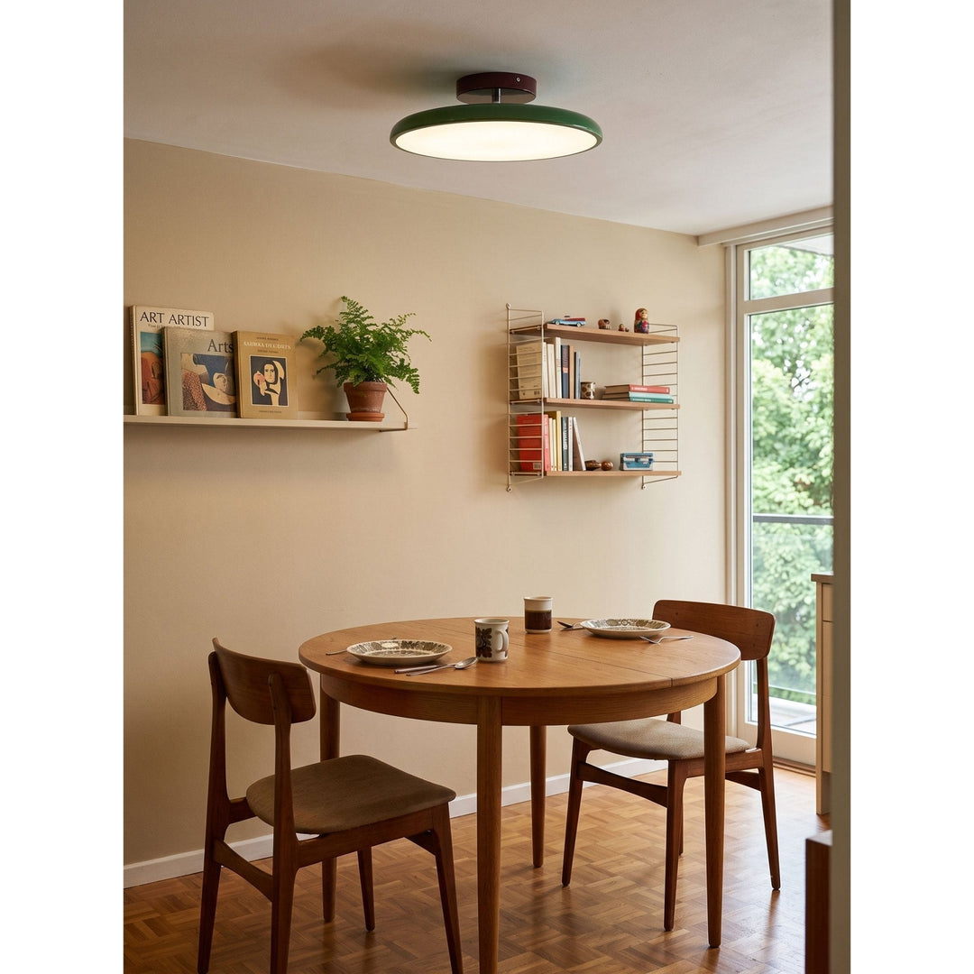 Sway Adjustable Ceiling Light