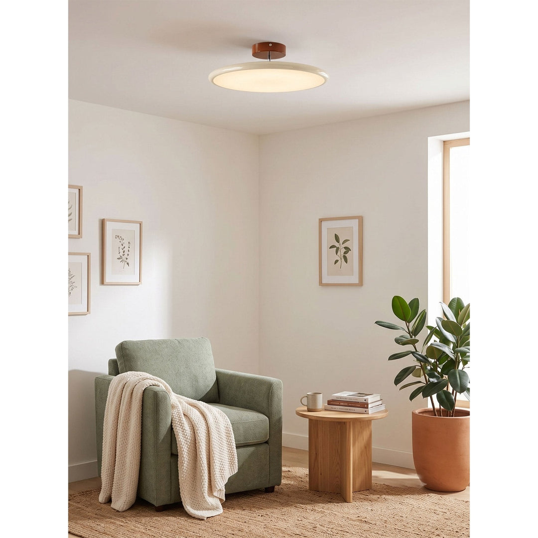 Sway Adjustable Ceiling Light