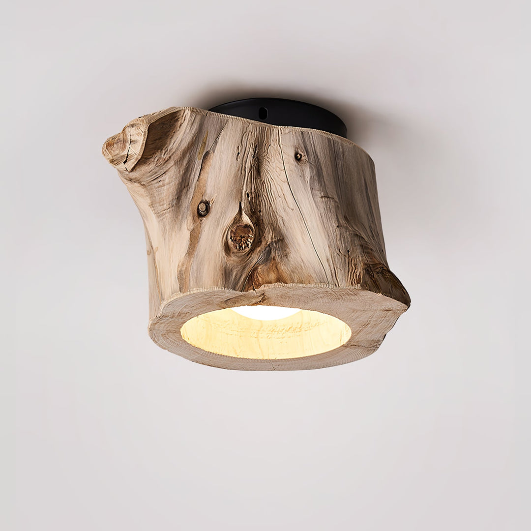 Knothole Ceiling Light