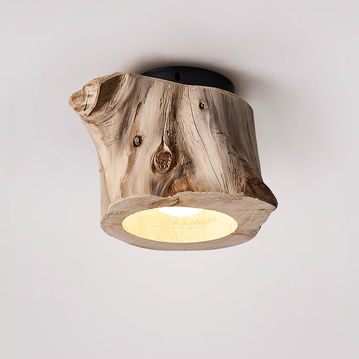 Knothole Ceiling Light