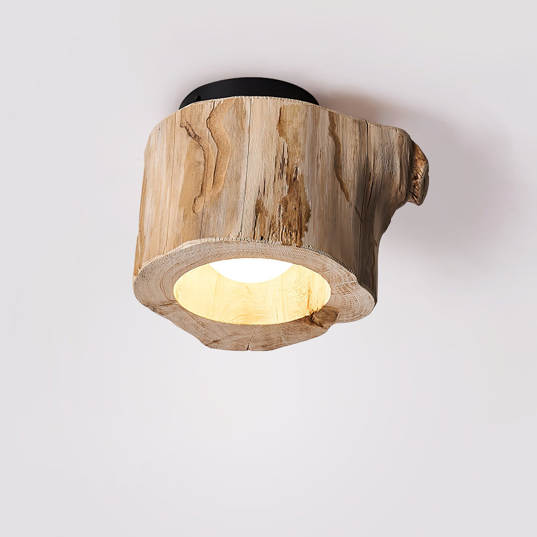 Knothole Ceiling Light