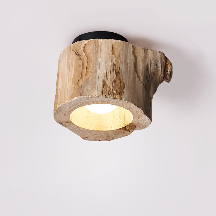 Knothole Ceiling Light
