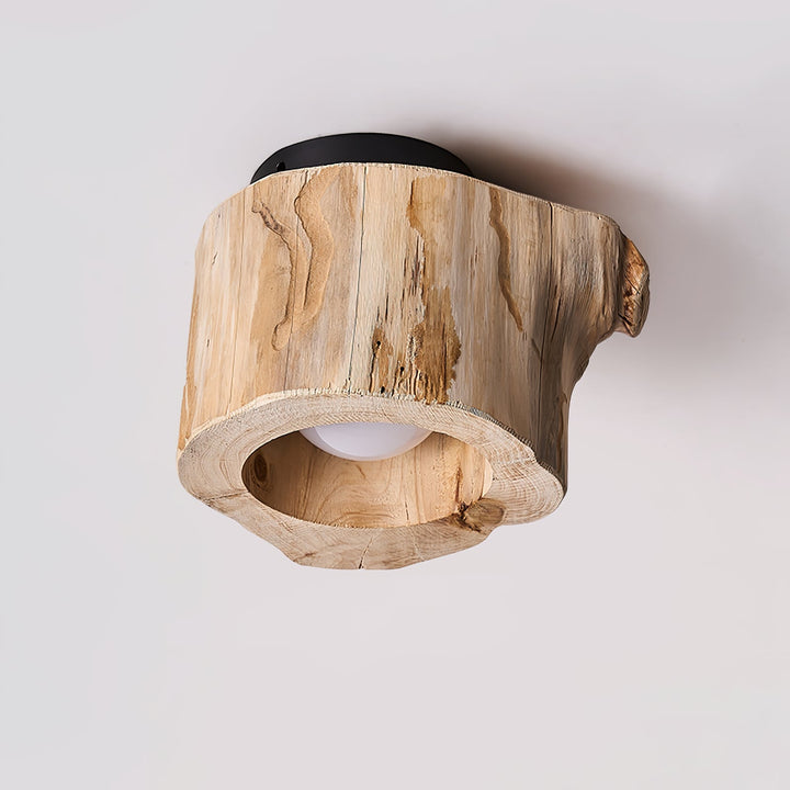 Knothole Ceiling Light