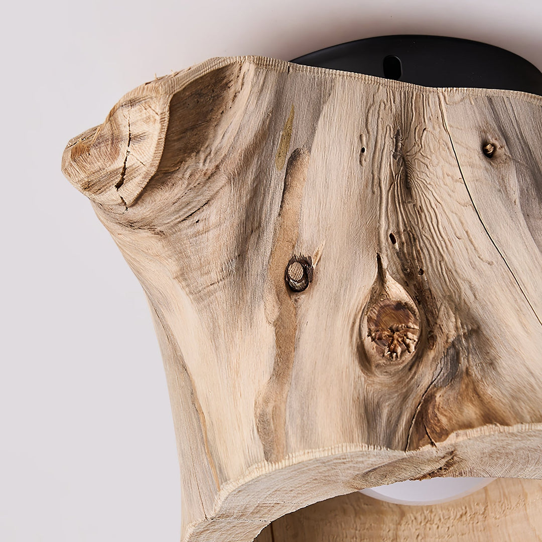 Knothole Ceiling Light