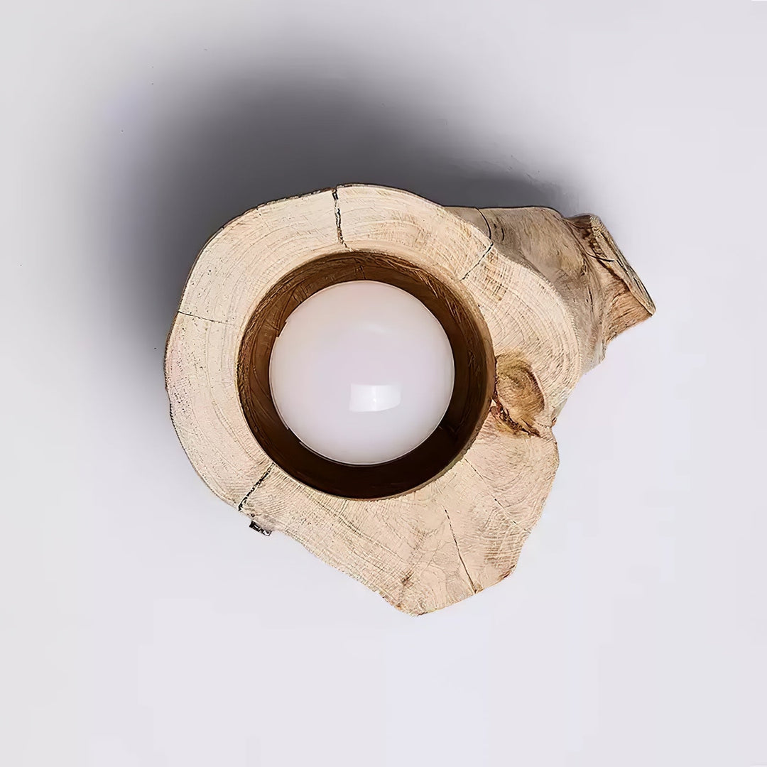Knothole Ceiling Light