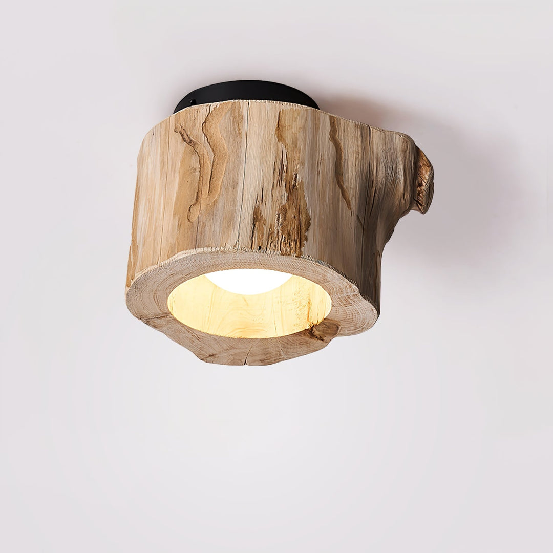 Knothole Ceiling Light